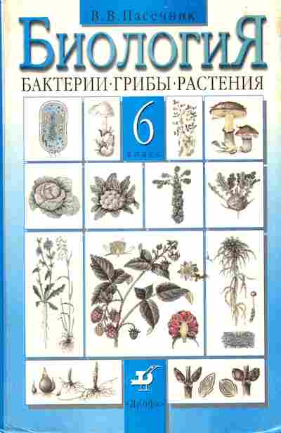 Книга Пасечник В.В. Биология Учебник 6 класс, 11-6119, Баград.рф